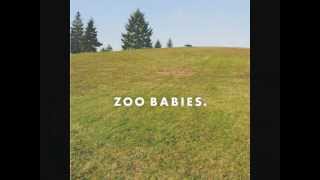 Zoo Babies - Dinka Chinka (Prod by @BygByrdpro)