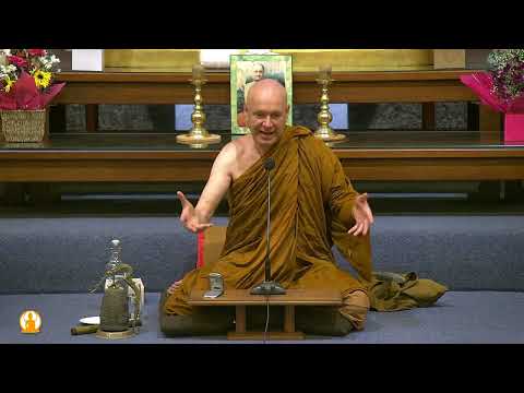 Going Against the Stream | Ajahn Brahmali | 6 January 2023