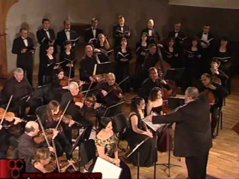 Vivaldi - Gloria VII: Domine Fili Unigenite
