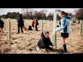 Planting A New Community Woodland In Northallerton With The White Rose Forest