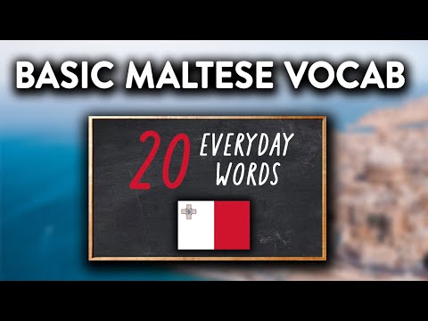 20 Maltese Words for Everyday Life - Basic Vocabulary