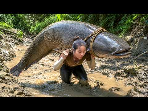 Harvesting Tons of Giant Fish from Huge Pond for Market Sale with Nhi & Khoi — Brick Oven Building
