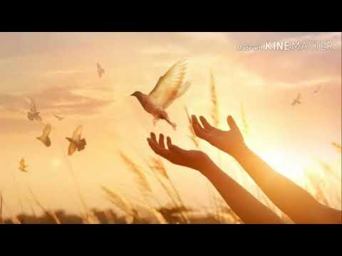 Devocional do Dia! IEQ Lourdes