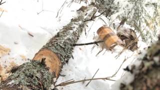 Frost River Wood Craft Axe Video