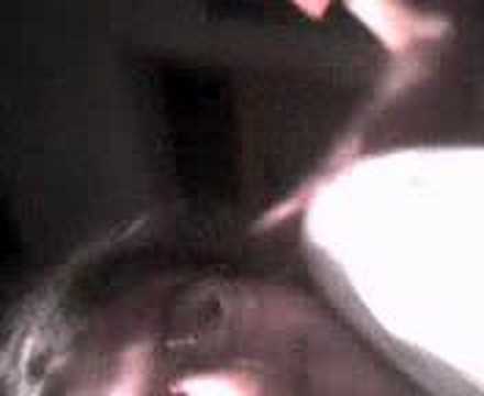 Berlinda Cabeça de Merda - Poney Ruda