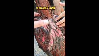 Download lagu Resiko lawan Pakhoy #pakhoy #brakot #bangkok mp3 Download lagu Resiko lawan Pakhoy #pakhoy #brakot #bangkok mp3
