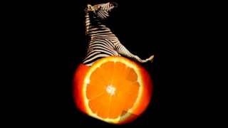 ORANGE ZEBRE - Tracheite Et Rage De Dent