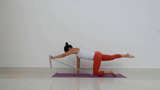 Perdigueiro com a Faixa Elástica