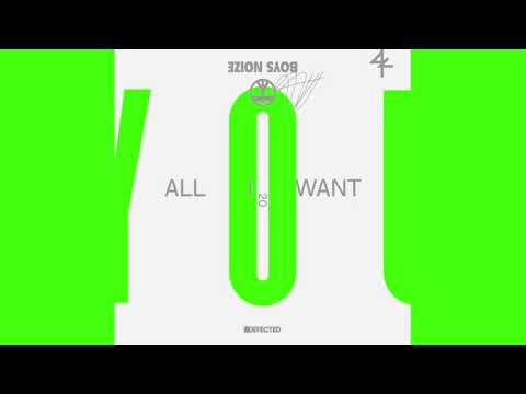 Boys Noize - All I Want (Feat Jake Shears) | Defected Records
