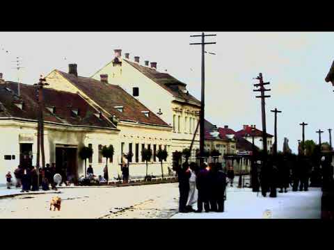 Stara Podravska Slatina obojana 20.1.2022. - Video razglednica 72