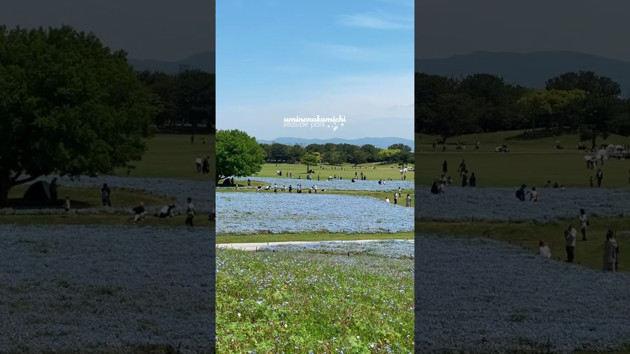 YouTube Short thumbnail