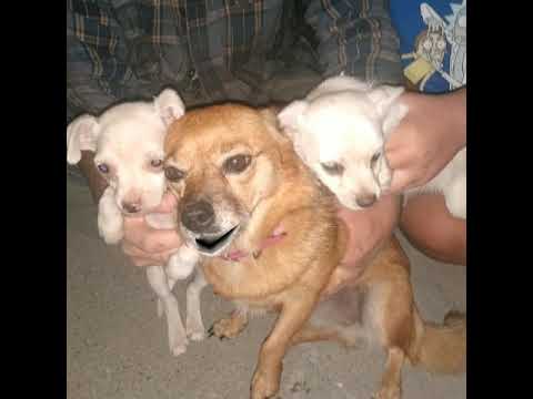 Emery sings Gareth Emery Million years