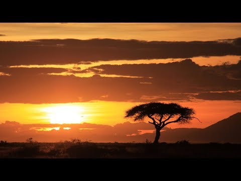 Saint Evo, Rocio Starry - Mi Sentimiento