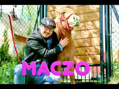 O!Mega Music Band - Maczo (Official Video 2024)