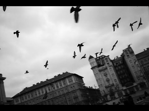 SCP 5630 - To Let Freedom Wing - KETER