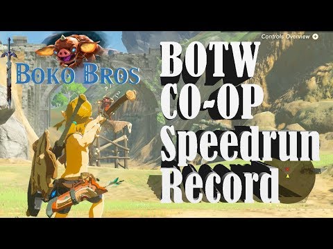 CO-OP Botw Speedrun Record!!