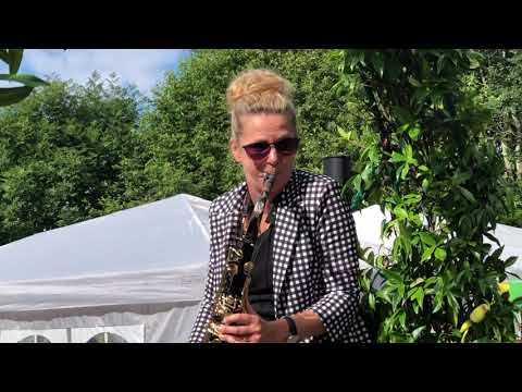 Klingande (Save Me) cover by Sophie Sax