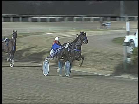 Trotto 03/02/2017 - 7ª corsa - TRIS