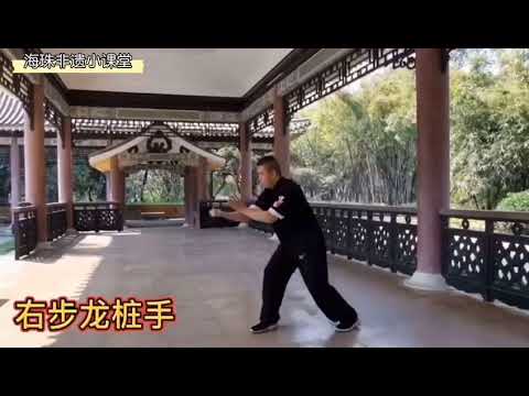 Southern Dragon Style 16 Movements Form