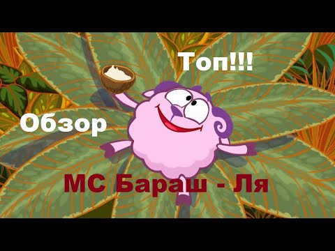 РЕАКЦИЯ МС Бараш - Ля. Крутой!