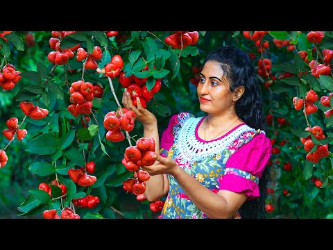 Rose Apple Delights 🍎 Jam Desserts Drinks and Special Recipes from My Sri Lankan Village Kitchen