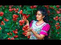 Rose Apple Delights Jam Desserts Drinks And Special Recipes From My Sri Lankan Village Kitchen