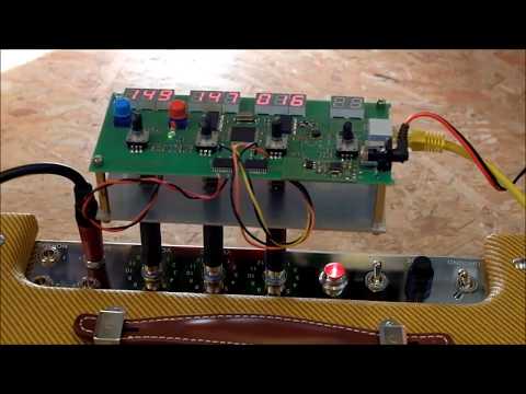 Neil Youngs Whizzer Replica