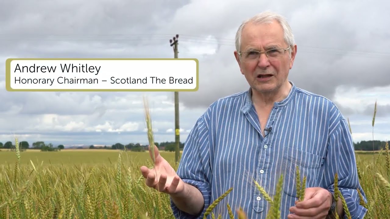 Celebrating Scottish Grain