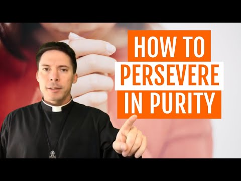 How to Persevere in Purity (with Fr. Mark Goring)