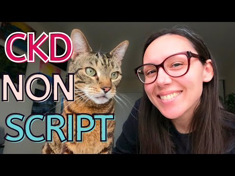 YouTube video about: How to get prescription cat food without vet prescription?