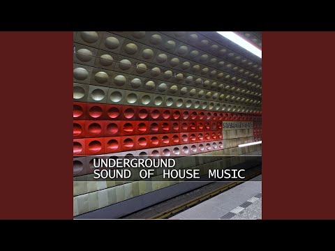 Maximum Bass (Dave Kurtis Funk Remix)