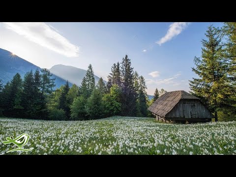 3 Hours of Instrumental Fantasy Music | Beautiful, Happy & Relaxing Mix