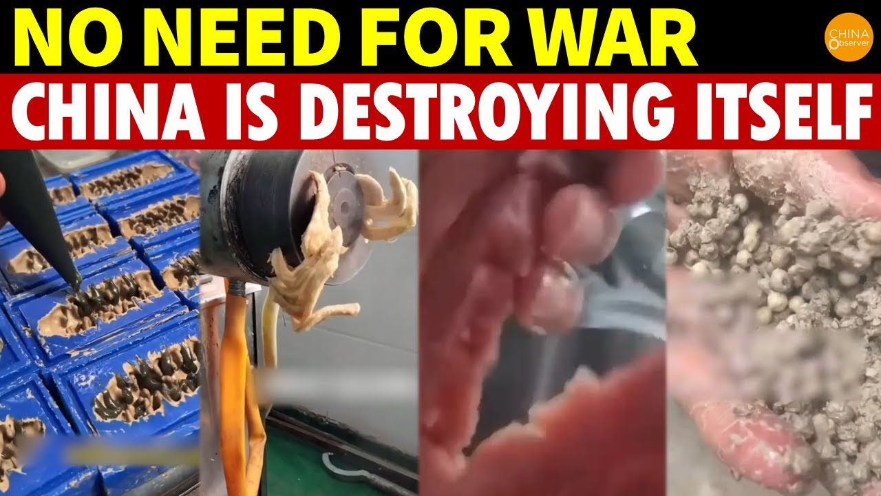 Sponge-Made Steak, Rubber Buns, Mud Pepper—China Is Destroying Itself Without a War