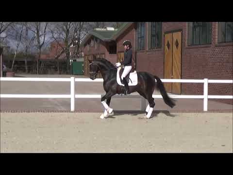 Diamond First (DVD 2019)