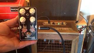 Video thumbnail for Missing Link Audio Peacock Overdrive 2020 by Missing Link Audio