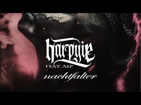 Video thumbnail for Nachtfalter