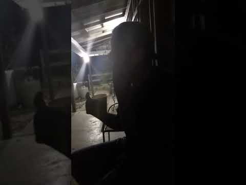 DaT BOY REYES freestyle Hustle OR Starve