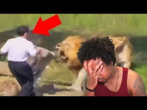 REACTION: Top 15 Stupid Zoo Guests!