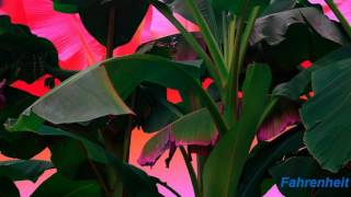 Loyle Carner - The Isle of Arran