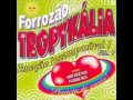 Forrozão Tropykália Planeta De Cores