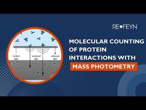 Mass Photometry for Protein Interactions: Molecular Counting Explained