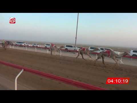  ش 2 (ريماس) لـ ناصر بخيت ناصر النوبي العامري 7:44:12 ، شارة الديوان 2026/10/25 إيذاع الوقن