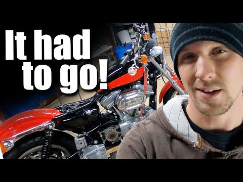 This was not safe  | Sportster Scrambler