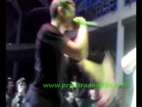 Navalha VS Criterioh www preparadogallos es tl