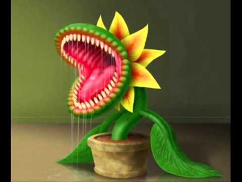 Nicko Rover - Photosynthesis (Original mix)