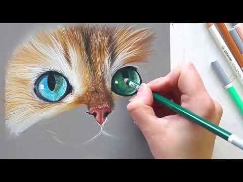 Carbothello Stabilo 2