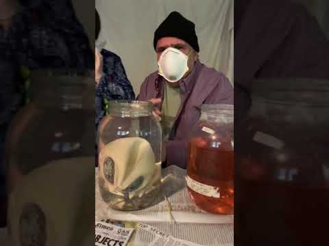 ALIEN BABY in a jar X FILES in the LAKE