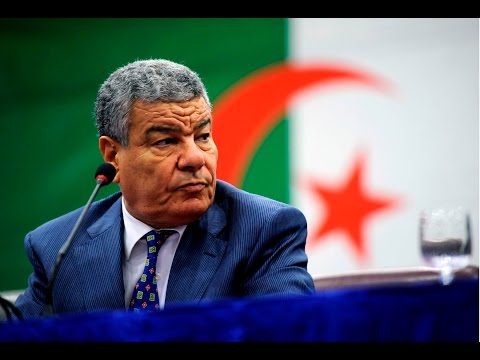 " تسونامي " سعداني .. وجزاء " توفيقار" !