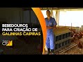 Curso Administração da Pequena Empresa Rural