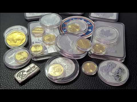 Slabbed MS70 First Day of Issue American Silver Eagles | Coin Collecting Fun with Florida Stacker